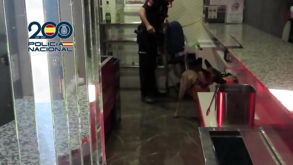 red_explotacion_sexual