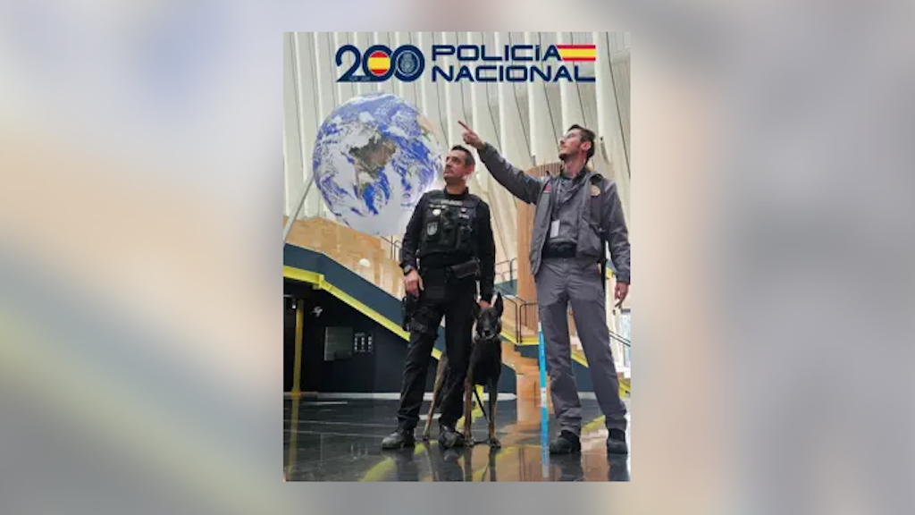 Binomio policia-vigilante