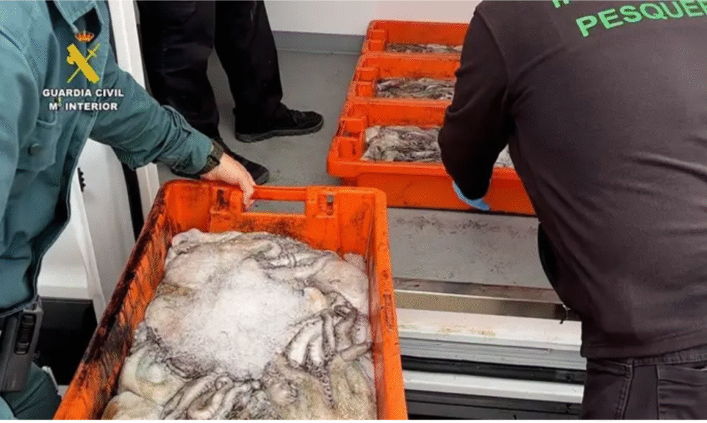 Retirada de pescado mal estado