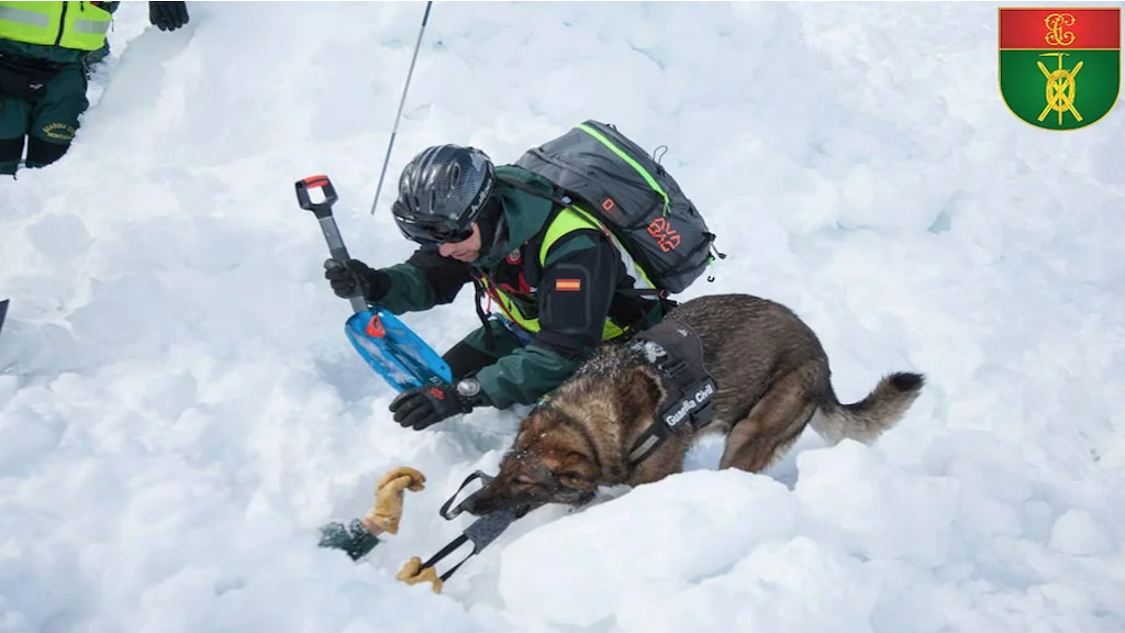 Rescate del Servicio de Montaña