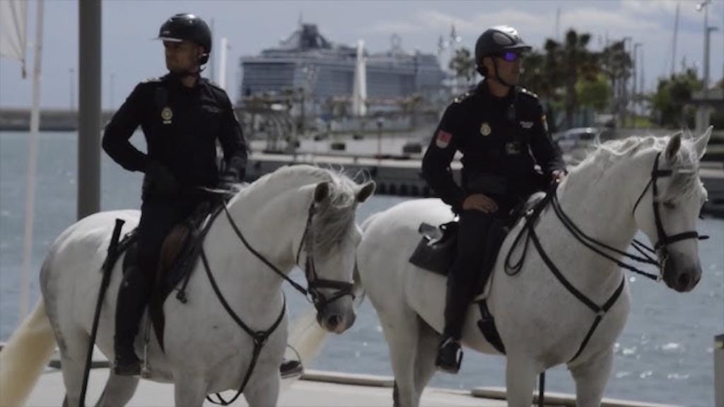 Unidad de Caballería