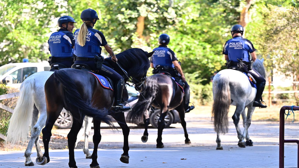 Escuadrón de Caballería