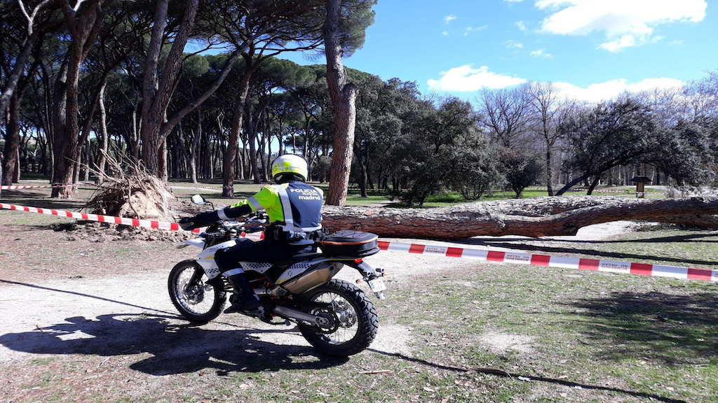 Comisaría de Medio Ambiente