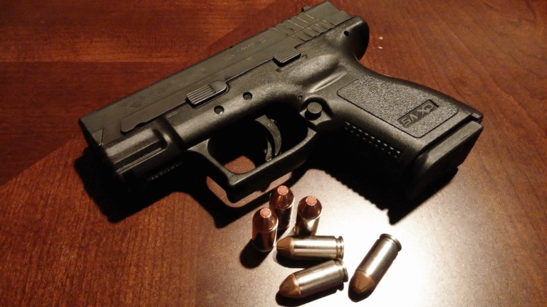 Arma reglamentaria de la Policía Nacional