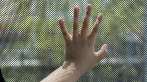 Recomendaciones en caso de un menor o animal olvidado en el coche