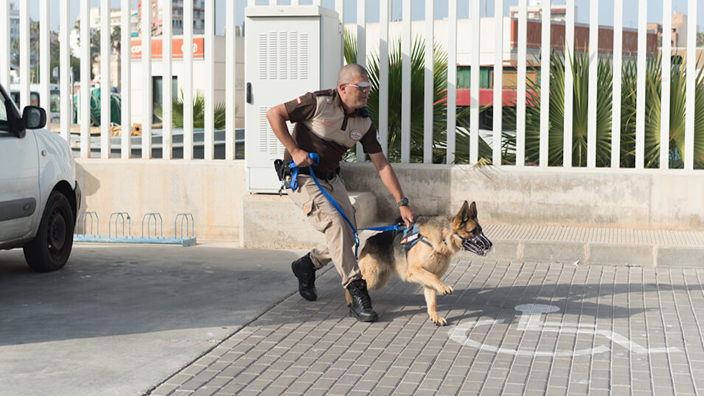 Vigilancia con Perros