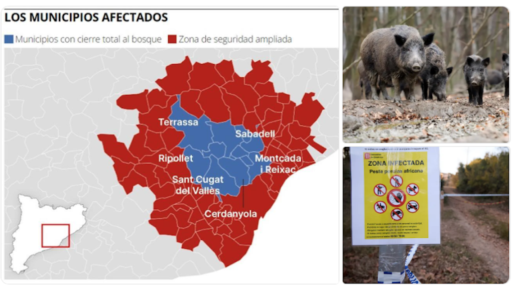 Parc Natural de Collserola