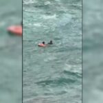 Rescatado un bañista en una playa de Melilla.