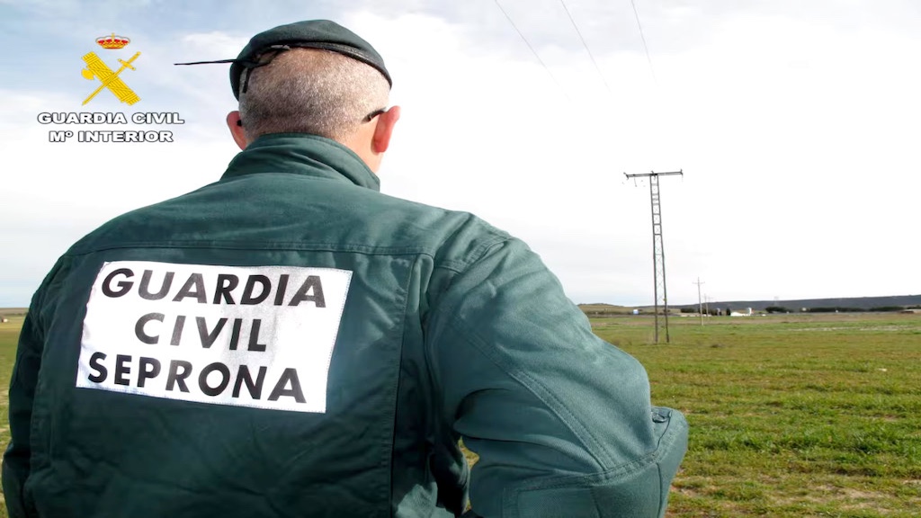 Evacuados más de 300 perros por el Seprona en Gijón.