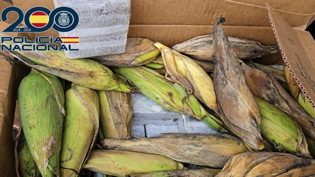 Paquetes de 350 kilos de hachís intervenidos en Canarias