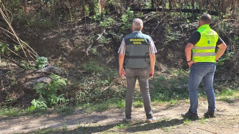 Incendio de Calvos de Randín investigado con drones por la Xunta